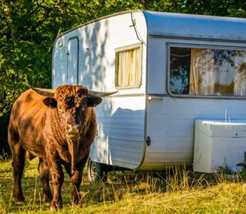 Camping à la ferme