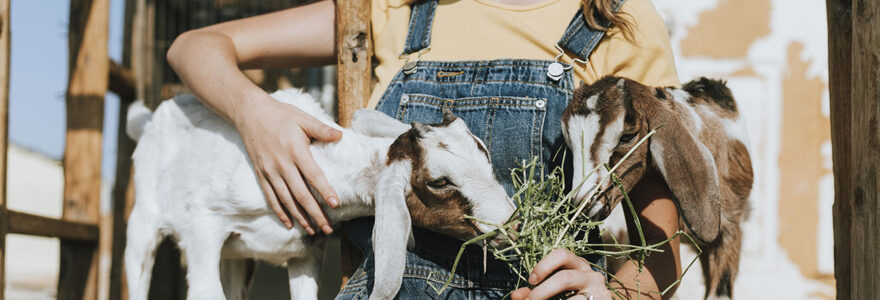 vacances à la ferme